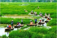 Ninh Binh – Hoa Lu – Tam coc